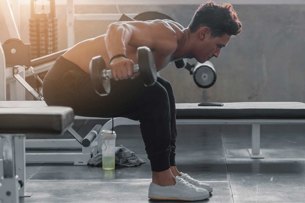 entrainement musculation
